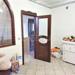 Rent 3 bedroom apartment of 100 m² in Misterbianco