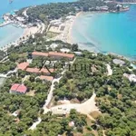 Rent 2 bedroom apartment of 100 m² in Vouliagmeni Municipal Unit