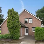 Rent 5 bedroom house of 170 m² in Overloon buitengebied