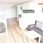 Rent 1 bedroom apartment in Brno