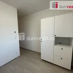 Rent 2 bedroom apartment of 53 m² in Břeclav