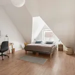 Rent a room in berlin