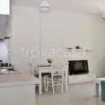 Rent 1 bedroom apartment of 30 m² in Torino