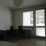 Rent 2 bedroom apartment in Svitavy