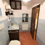 Rent 5 bedroom apartment of 100 m² in Tuscania