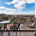 Rent 1 bedroom apartment in Neutral Bay