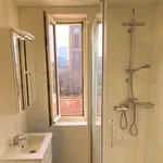 Rent 3 bedroom apartment of 100 m² in Frankfurt