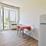 Rent 1 bedroom apartment in Brno