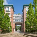 Rent 3 bedroom apartment of 88 m² in Berlin