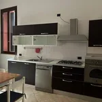 Rent 3 bedroom apartment of 100 m² in Ferrara