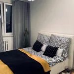 Rent 2 bedroom apartment of 39 m² in Katowice