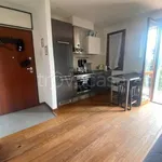 Rent 1 bedroom apartment of 54 m² in Reggio nell'Emilia