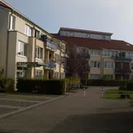 Rent 2 bedroom apartment of 51 m² in Bonn