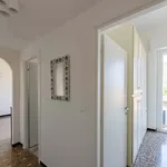 Rent 2 bedroom apartment of 45 m² in Genoa