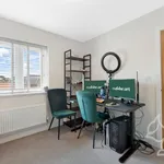 Rent 4 bedroom apartment in Colchester