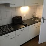 Rent 1 bedroom apartment of 65 m² in De Baan e.o.