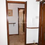 Rent 4 bedroom apartment of 100 m² in Pavia