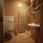 Rent 1 bedroom apartment in Brno