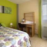 Alquilar 6 dormitorio apartamento en Madrid