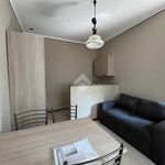 Rent 2 bedroom apartment of 40 m² in Novara