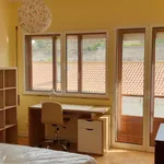 Rent 4 bedroom apartment in Coimbra