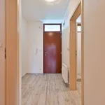 Rent 3 bedroom apartment in Brno