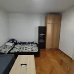 Rent 1 bedroom apartment in Vsetín