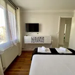 Rent 4 bedroom apartment of 75 m² in Lyon