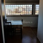 Rent 2 bedroom apartment of 46 m² in Rome