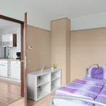 Miete 2 Schlafzimmer wohnung von 35 m² in Leipzig