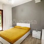 Affitto 3 camera casa di 80 m² in Campofelice di Roccella