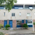 Rent 4 bedroom house of 115 m² in Hoge Neerstraat