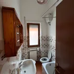 Rent 2 bedroom apartment of 35 m² in Roma