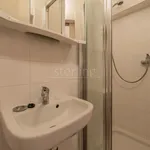 Rent 1 bedroom apartment in Praha 2