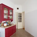 Rent 7 bedroom apartment in Lisbon