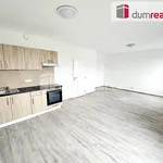 Rent 2 bedroom apartment of 78 m² in Pilsen