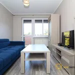 Rent 3 bedroom apartment of 53 m² in Leszno