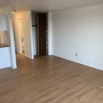  appartement avec 1 chambre(s) en location à Montreal