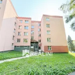 Rent 3 bedroom apartment of 73 m² in Havířov