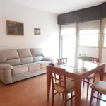 Rent 3 bedroom apartment of 90 m² in Roma