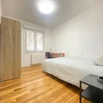 Rent 4 bedroom apartment in Bilbao