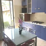 Rent 3 bedroom apartment of 100 m² in Biella