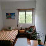 Rent 3 bedroom apartment in Lisbon