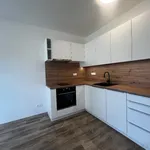 Rent 1 bedroom apartment in Karlovy Vary