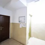 Rent 3 bedroom apartment in Valencia