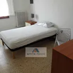 Affitto 1 camera casa di 15 m² in empoli