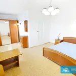 Rent 5 bedroom house of 160 m² in Rzeszów