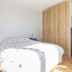 Rent 1 bedroom apartment of 70 m² in Breda