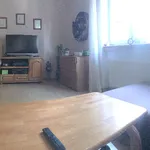 Rent 3 bedroom apartment in Plzeň-jih