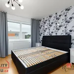 Rent 2 bedroom apartment in Plzeň